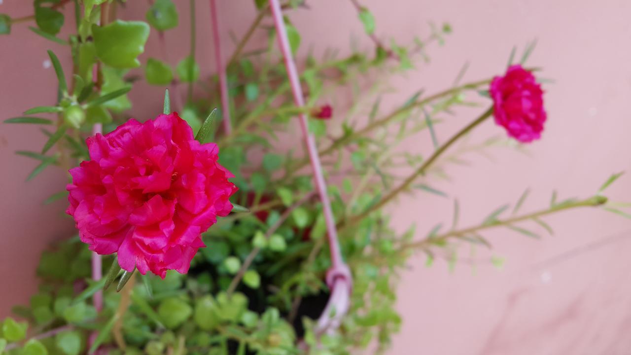 Pama Hotel Kampong Chhnang Экстерьер фото